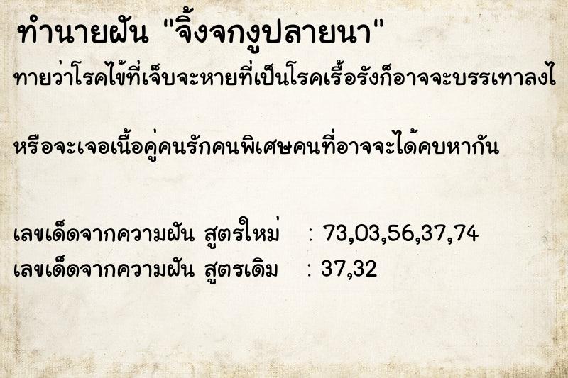 ทำนายฝันจิ้งจกงูปลายนา ทำนายฝันทำนายฝันจิ้งจกงูปลายนา