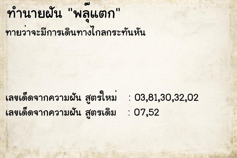 ทำนายฝันทำนายฝันพลุ๊แตก