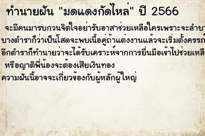 ทำนายฝัน มดแดงกัดไหล่ ทำนายฝัน มดแดงกัดไหล่