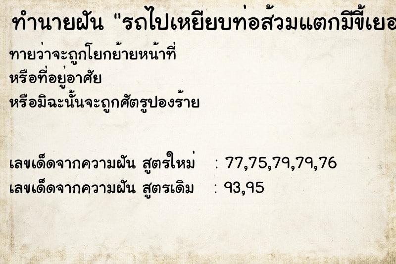 ทำนายฝันทำนายฝันรถไปเหยียบท่อส้วมแตกมีขี้เยอะ