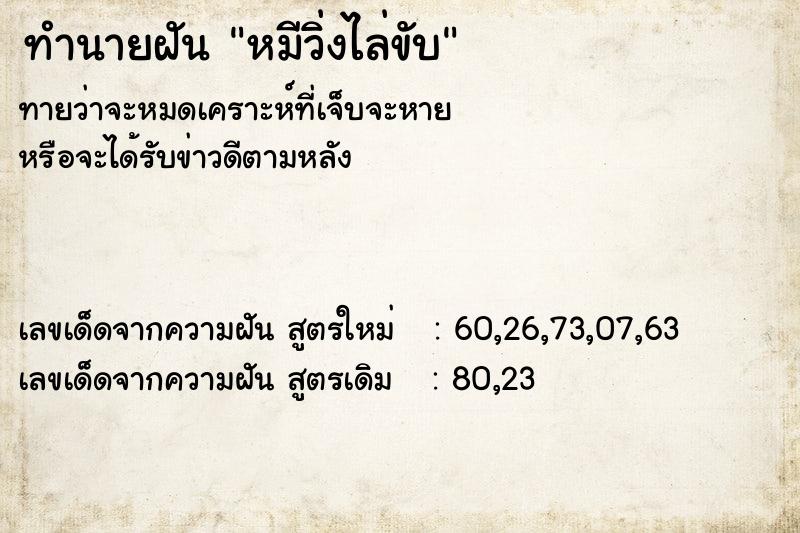 ทำนายฝันทำนายฝันหมีวิ่งไล่ขับ