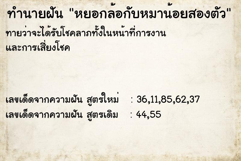 ทำนายฝันหยอกล้อกับหมาน้อยสองตัว ทำนายฝันทำนายฝันหยอกล้อกับหมาน้อยสองตัว