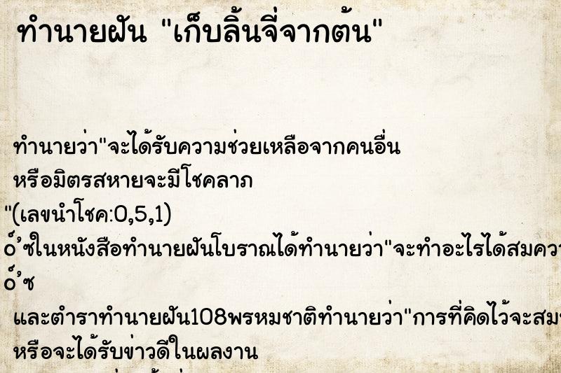 ทำนายฝัน เก็บลิ้นจี่จากต้น ทำนายฝัน เก็บลิ้นจี่จากต้น