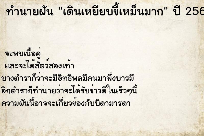 ทำนายฝันทำนายฝันเดินเหยียบขี้เหม็นมาก