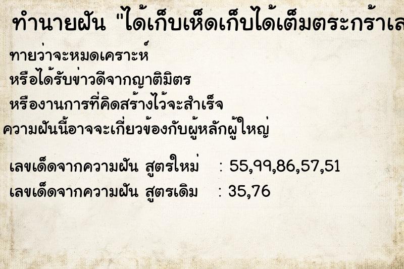 ทำนายฝันทำนายฝันได้เก็บเห็ดเก็บได้เต็มตระกร้าเลย