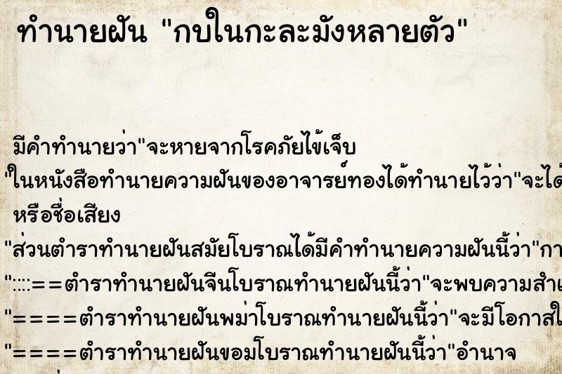 ทำนายฝันกบในกะละมังหลายตัว ทำนายฝันทำนายฝันกบในกะละมังหลายตัว