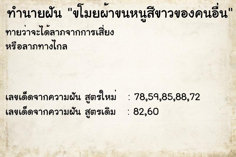 ทำนายฝันขโมยผ้าขนหนูสีขาวของคนอื่น ทำนายฝันทำนายฝันขโมยผ้าขนหนูสีขาวของคนอื่น