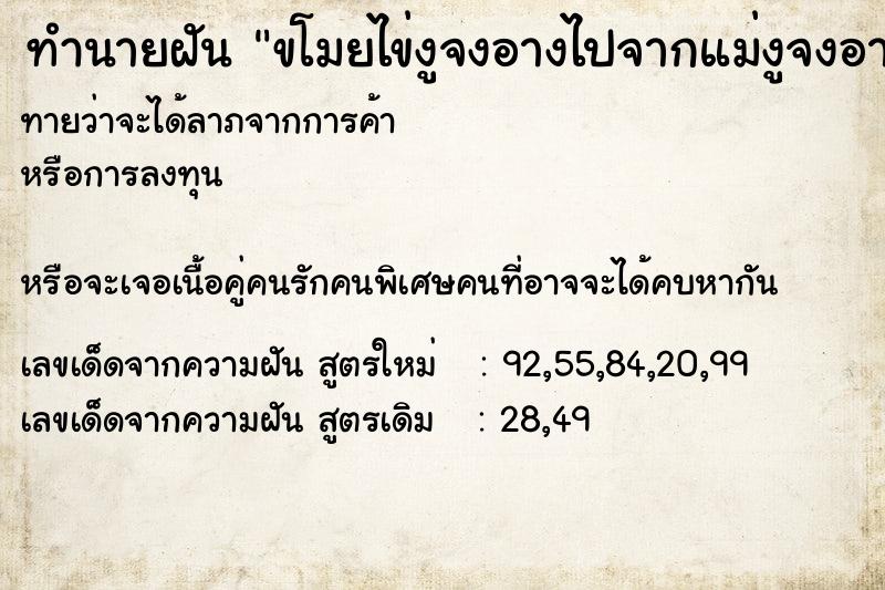 ทำนายฝันขโมยไข่งูจงอางไปจากแม่งูจงอาง ทำนายฝันทำนายฝันขโมยไข่งูจงอางไปจากแม่งูจงอาง