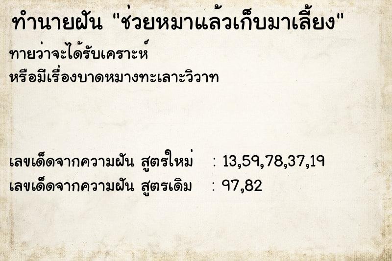ทำนายฝันทำนายฝันช่วยหมาแล้วเก็บมาเลี้ยง