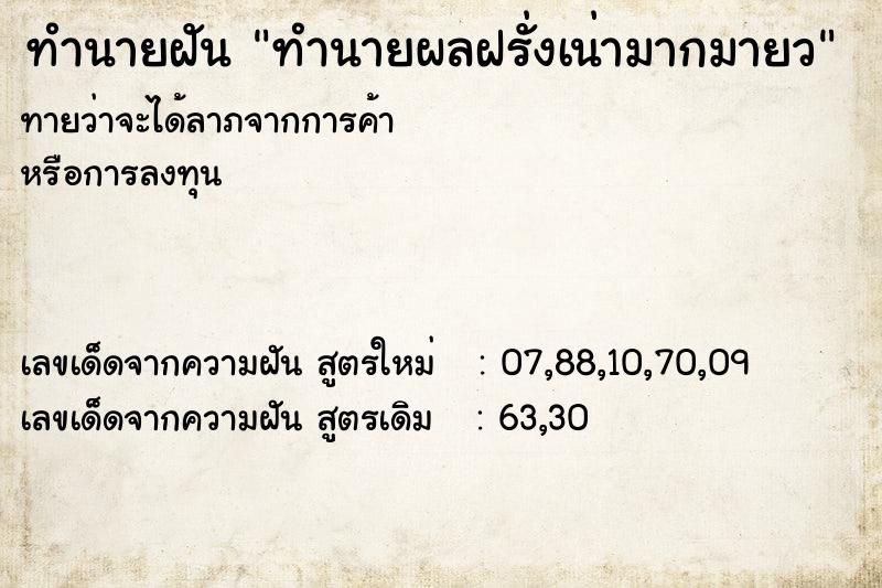 ทำนายฝันทำนายผลฝรั่งเน่ามากมายว ทำนายฝันทำนายฝันทำนายผลฝรั่งเน่ามากมายว