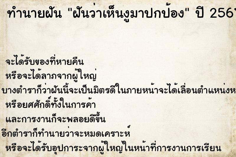 ทำนายฝันฝันว่าเห็นงูมาปกป้อง ทำนายฝันทำนายฝันฝันว่าเห็นงูมาปกป้อง