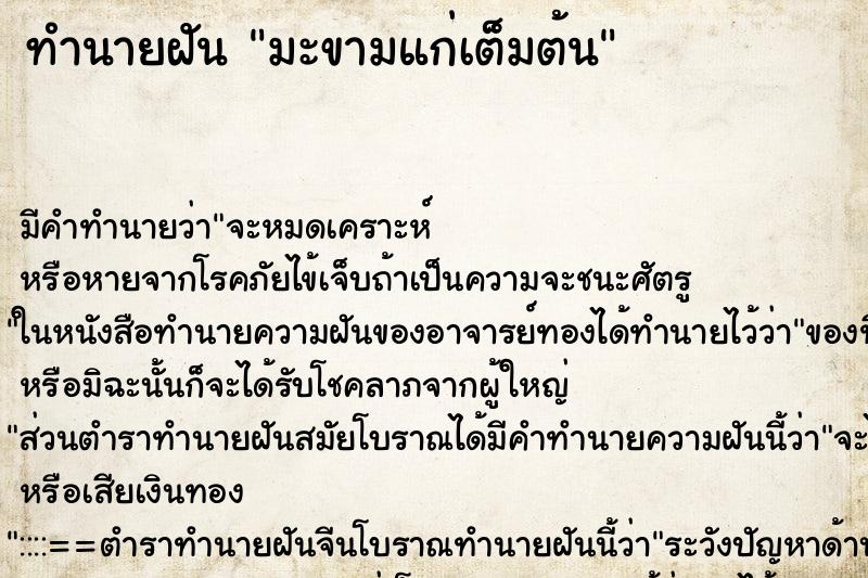 ทำนายฝันมะขามแก่เต็มต้น ทำนายฝันทำนายฝันมะขามแก่เต็มต้น