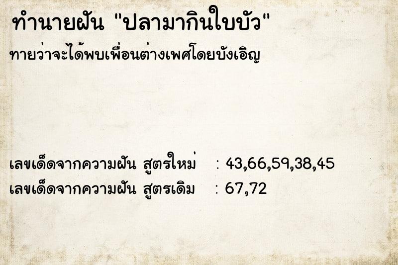 ทำนายฝันปลามากินใบบัว ทำนายฝันทำนายฝันปลามากินใบบัว