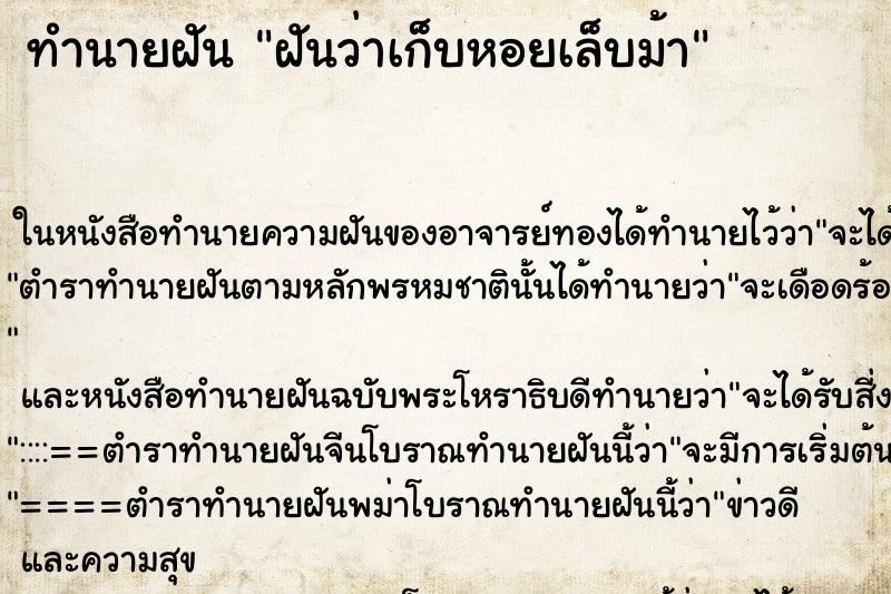 ทำนายฝันฝันว่าเก็บหอยเล็บม้า ทำนายฝันทำนายฝันฝันว่าเก็บหอยเล็บม้า