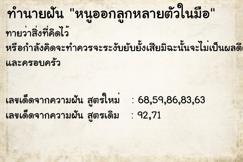 ทำนายฝัน หนูออกลูกหลายตัวในมือ ทำนายฝัน หนูออกลูกหลายตัวในมือ