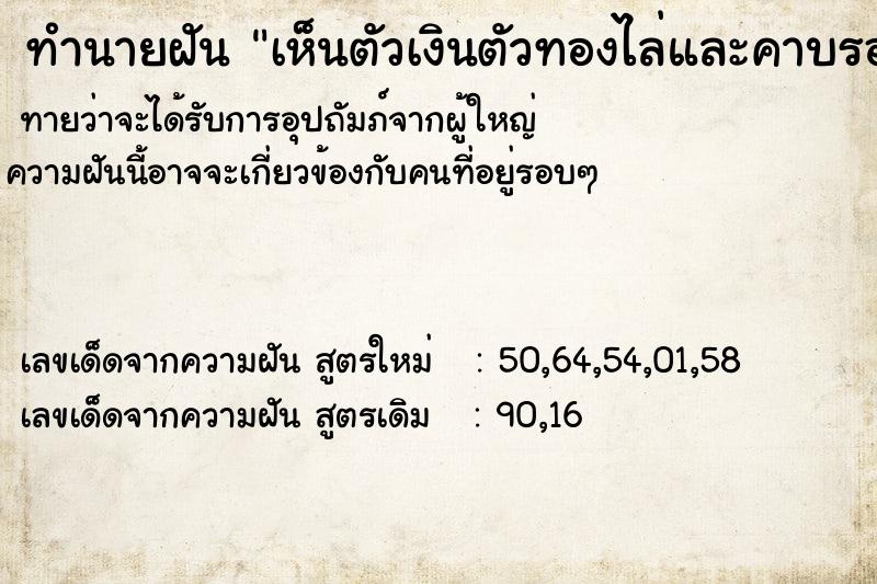 ทำนายฝันทำนายฝันเห็นตัวเงินตัวทองไล่และคาบรองเท้าไป