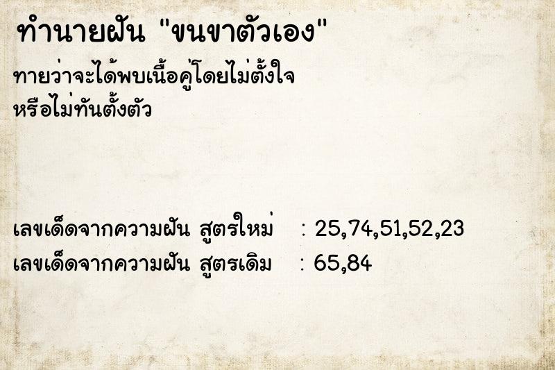 ทำนายฝันขนขาตัวเอง ทำนายฝันทำนายฝันขนขาตัวเอง