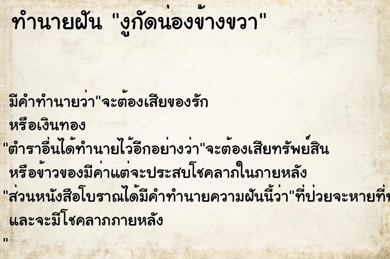 ทำนายฝัน งูกัดน่องข้างขวา ทำนายฝัน งูกัดน่องข้างขวา