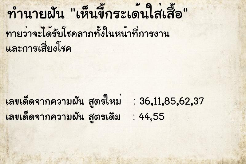 ทำนายฝันเห็นขี้กระเด้นใส่เสื้อ ทำนายฝันทำนายฝันเห็นขี้กระเด้นใส่เสื้อ