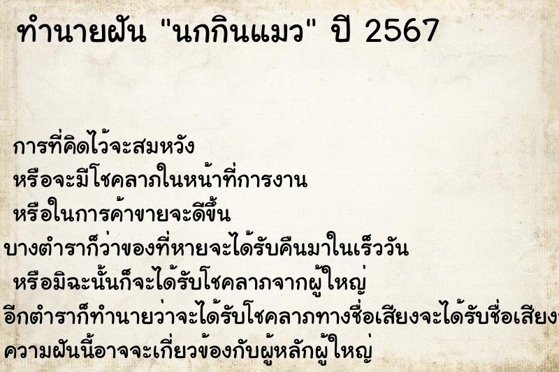 ทำนายฝัน นกกินแมว ทำนายฝัน นกกินแมว