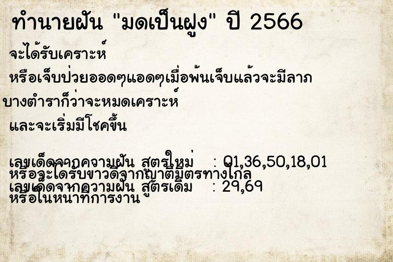 ทำนายฝัน มดเป็นฝูง ทำนายฝัน มดเป็นฝูง