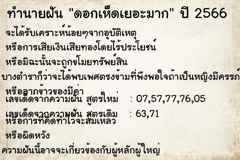 ทำนายฝัน ดอกเห็ดเยอะมาก ทำนายฝัน ดอกเห็ดเยอะมาก