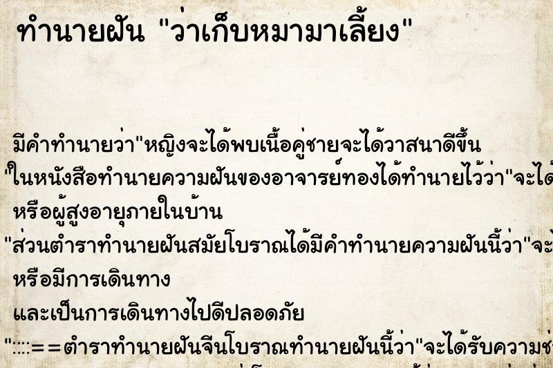 ทำนายฝัน ว่าเก็บหมามาเลี้ยง ทำนายฝัน ว่าเก็บหมามาเลี้ยง