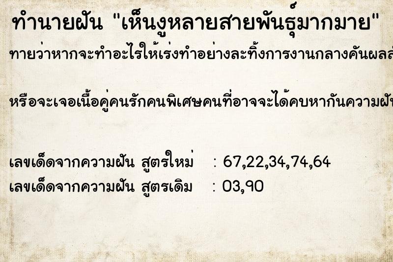 ทำนายฝัน เห็นงูหลายสายพันธุ์มากมาย