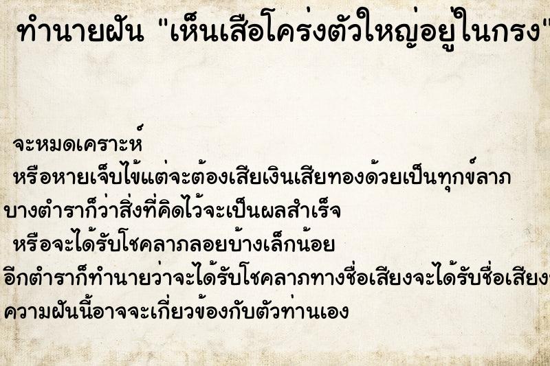ทำนายฝันเห็นเสือโคร่งตัวใหญ่อยู่ในกรง ทำนายฝันทำนายฝันเห็นเสือโคร่งตัวใหญ่อยู่ในกรง