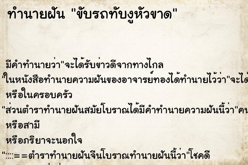 ทำนายฝัน ขับรถทับงูหัวขาด ทำนายฝัน ขับรถทับงูหัวขาด