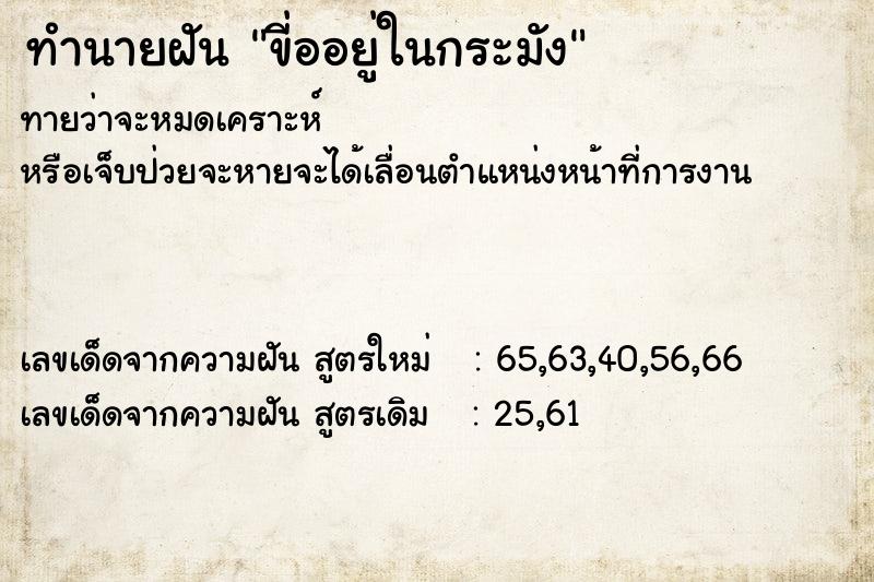 ทำนายฝันขี่ออยู่ในกระมัง ทำนายฝันทำนายฝันขี่ออยู่ในกระมัง