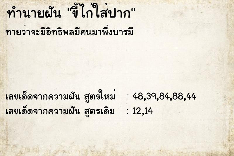 ทำนายฝันขี้ไก่ใส่ปาก ทำนายฝันทำนายฝันขี้ไก่ใส่ปาก