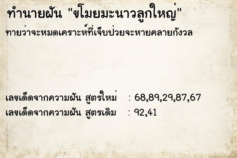 ทำนายฝันขโมยมะนาวลูกใหญ่ ทำนายฝันทำนายฝันขโมยมะนาวลูกใหญ่