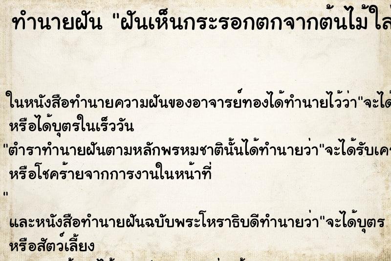ทำนายฝัน ฝันเห็นกระรอกตกจากต้นไม้ใส่มือพอดีดีใจ ทำนายฝัน ฝันเห็นกระรอกตกจากต้นไม้ใส่มือพอดีดีใจ