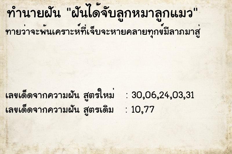 ทำนายฝันทำนายฝันฝันได้จับลูกหมาลูกแมว