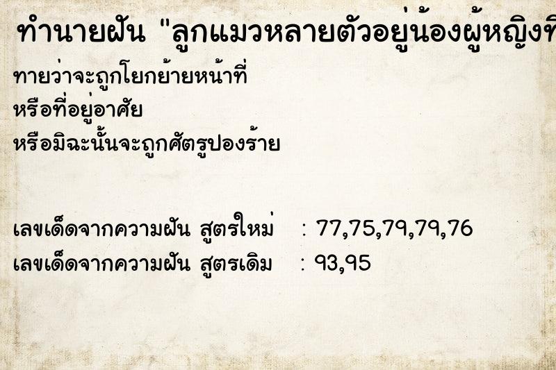 ทำนายฝันลูกแมวหลายตัวอยู่น้องผู้หญิงที่ทำงาน ทำนายฝันทำนายฝันลูกแมวหลายตัวอยู่น้องผู้หญิงที่ทำงาน