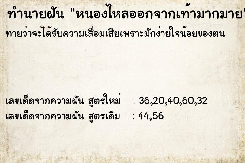 ทำนายฝันหนองไหลออกจากเท้ามากมาย ทำนายฝันทำนายฝันหนองไหลออกจากเท้ามากมาย