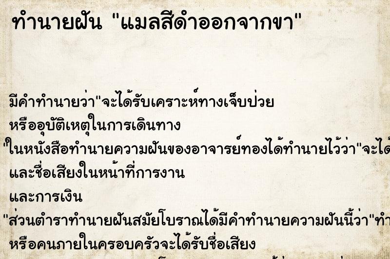 ทำนายฝันแมลสีดำออกจากขา ทำนายฝันทำนายฝันแมลสีดำออกจากขา