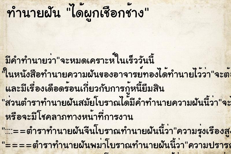 ทำนายฝัน ได้ผูกเชือกช้าง ทำนายฝัน ได้ผูกเชือกช้าง