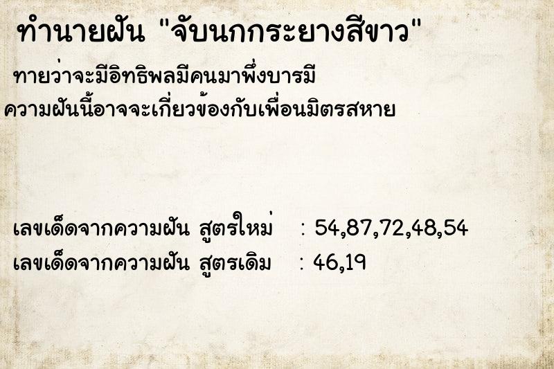 ทำนายฝันจับนกกระยางสีขาว ทำนายฝันทำนายฝันจับนกกระยางสีขาว