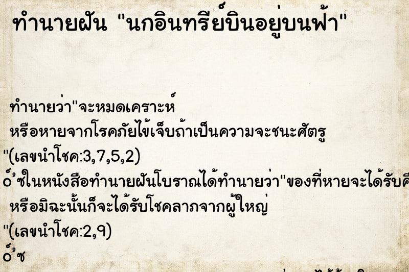 ทำนายฝันนกอินทรีย์บินอยู่บนฟ้า ทำนายฝันทำนายฝันนกอินทรีย์บินอยู่บนฟ้า