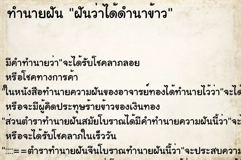 ทำนายฝัน ฝันว่าได้ดำนาข้าว ทำนายฝัน ฝันว่าได้ดำนาข้าว