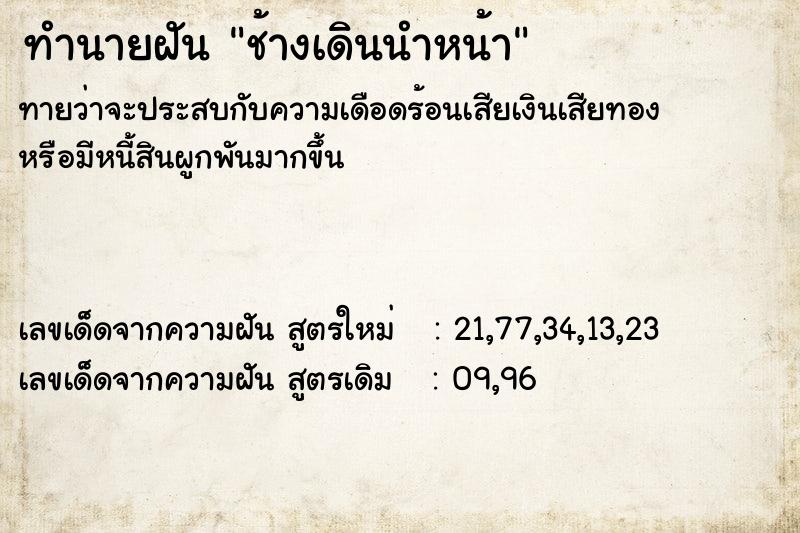 ทำนายฝันช้างเดินนำหน้า ทำนายฝันทำนายฝันช้างเดินนำหน้า