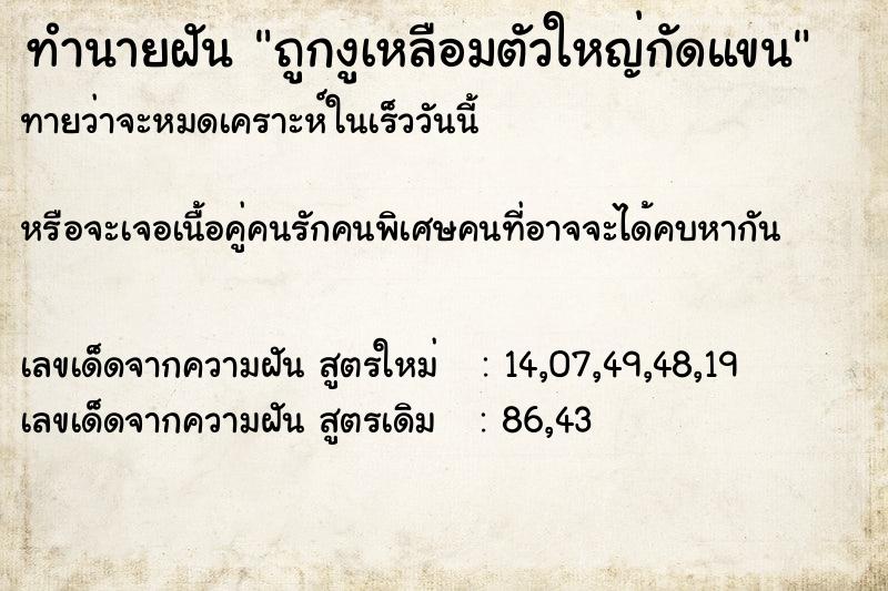 ทำนายฝันถูกงูเหลือมตัวใหญ่กัดแขน ทำนายฝันทำนายฝันถูกงูเหลือมตัวใหญ่กัดแขน