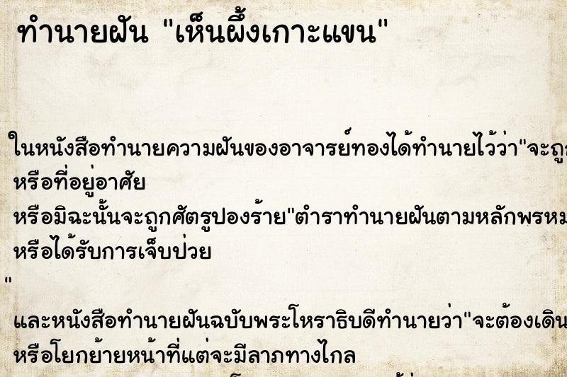 ทำนายฝัน เห็นผึ้งเกาะแขน ทำนายฝัน เห็นผึ้งเกาะแขน