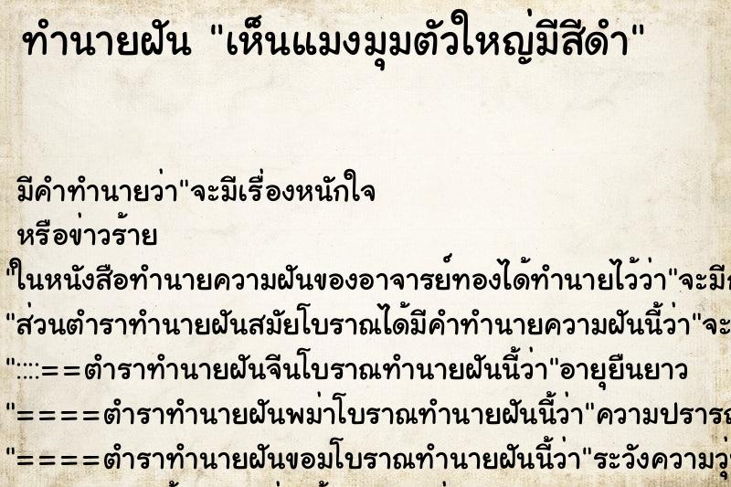 ทำนายฝัน เห็นแมงมุมตัวใหญ่มีสีดำ ทำนายฝัน เห็นแมงมุมตัวใหญ่มีสีดำ