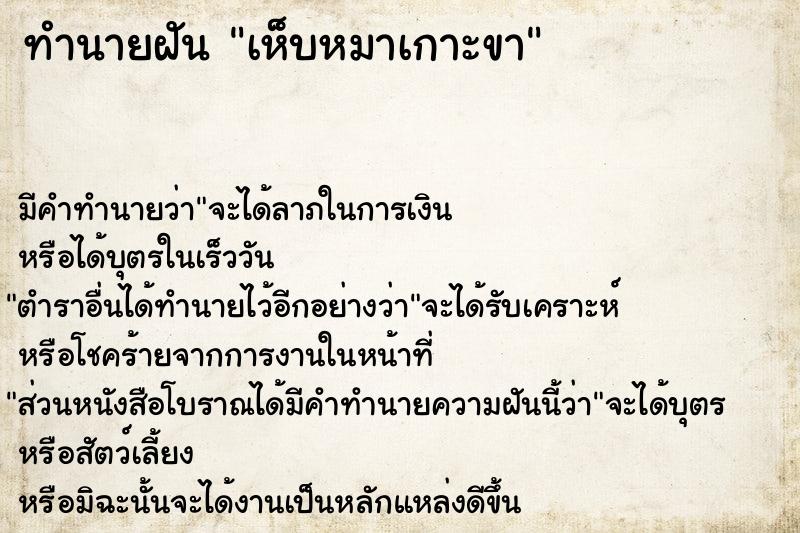 ทำนายฝัน เห็บหมาเกาะขา ทำนายฝัน เห็บหมาเกาะขา
