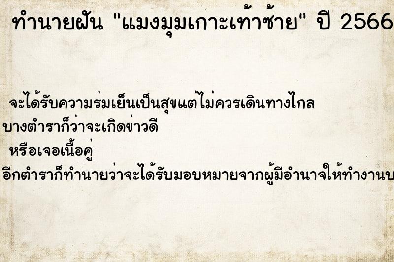 ทำนายฝัน แมงมุมเกาะเท้าซ้าย