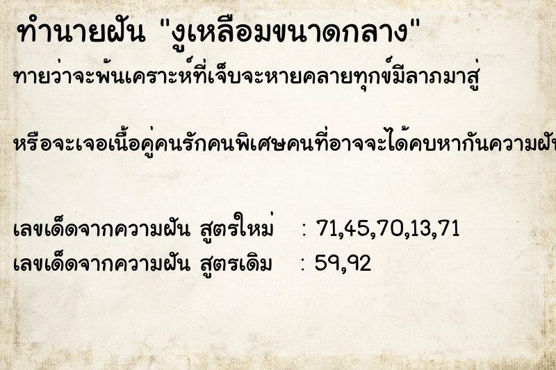 ทำนายฝันงูเหลือมขนาดกลาง ทำนายฝันทำนายฝันงูเหลือมขนาดกลาง