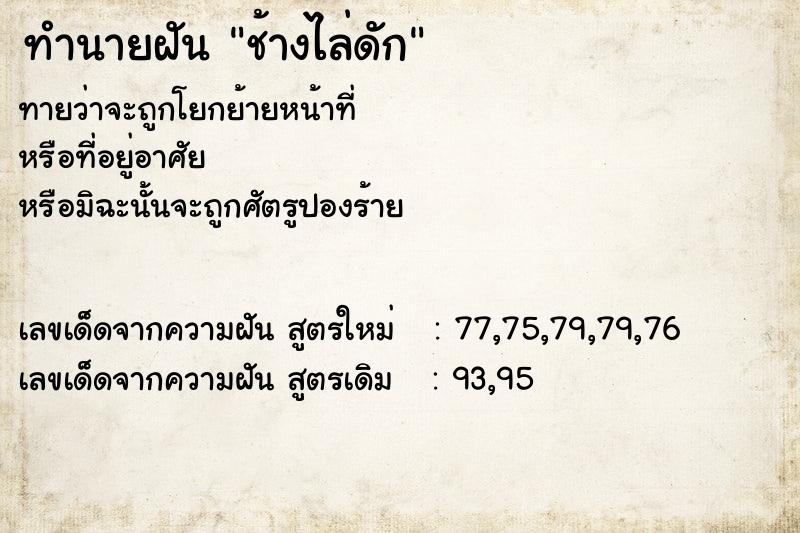 ทำนายฝันช้างไล่ดัก ทำนายฝันทำนายฝันช้างไล่ดัก